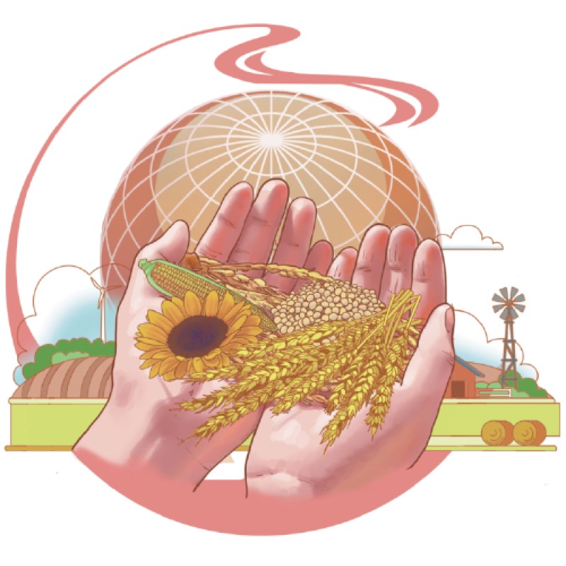Rusia-Ucrania Conflicto a afectar el 25% del mercado mundial de granos: oficial ucraniano